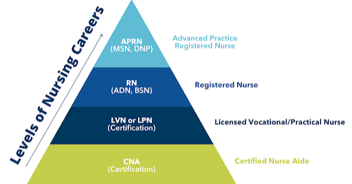 CNA to LVN or RN: How CNA Training Starts Your Nursing Career