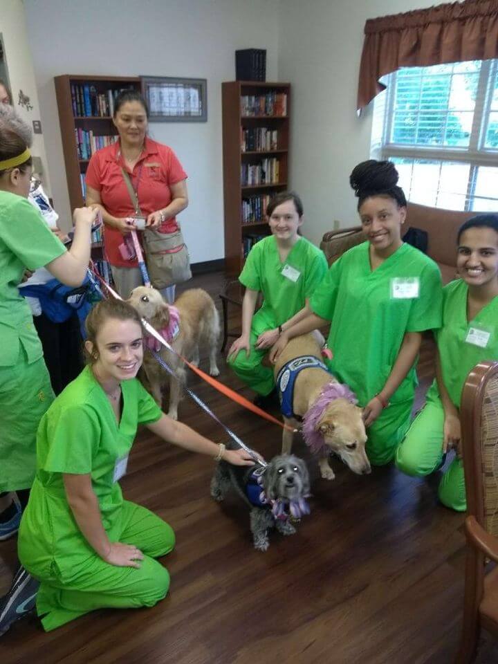 Do CNAs Work Long Shifts?